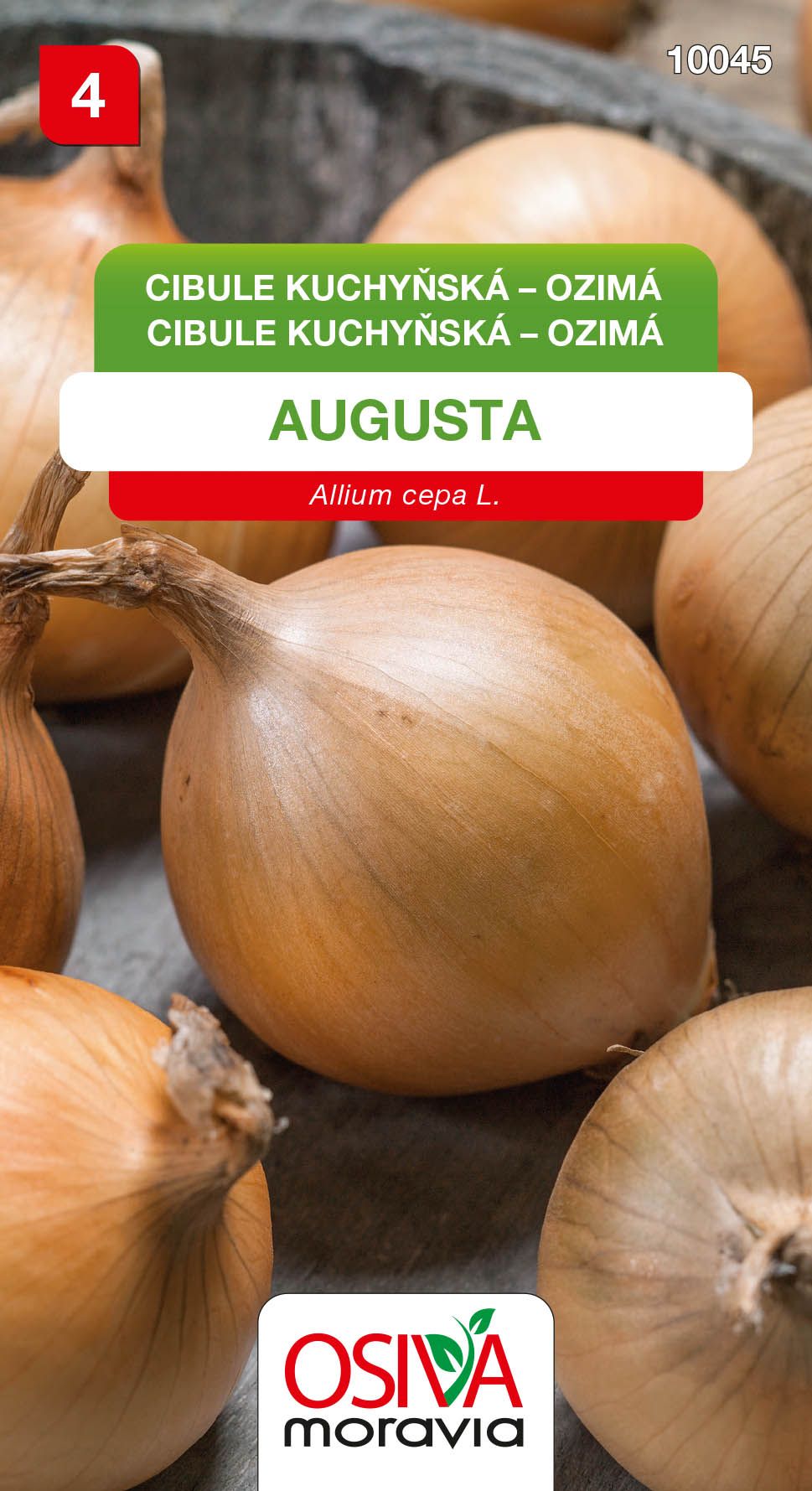 Cibule kuchyňská - Augusta