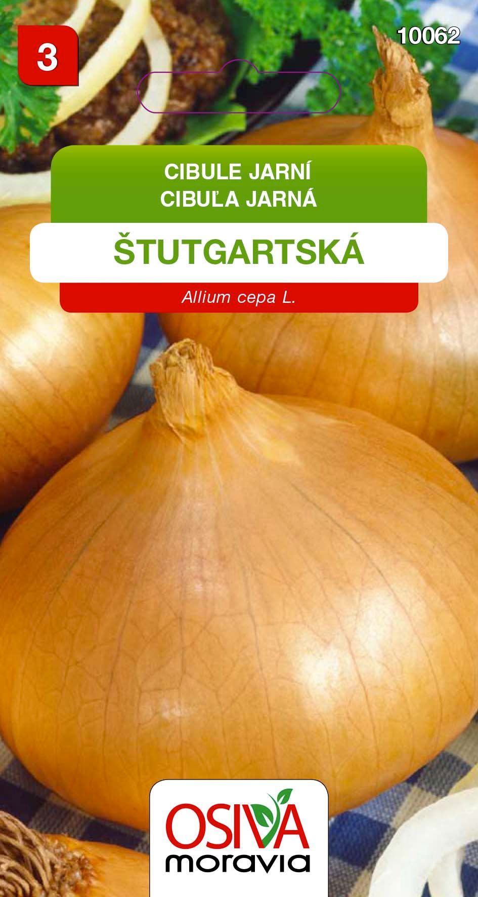 Cibule kuchyňská - Štutgartská