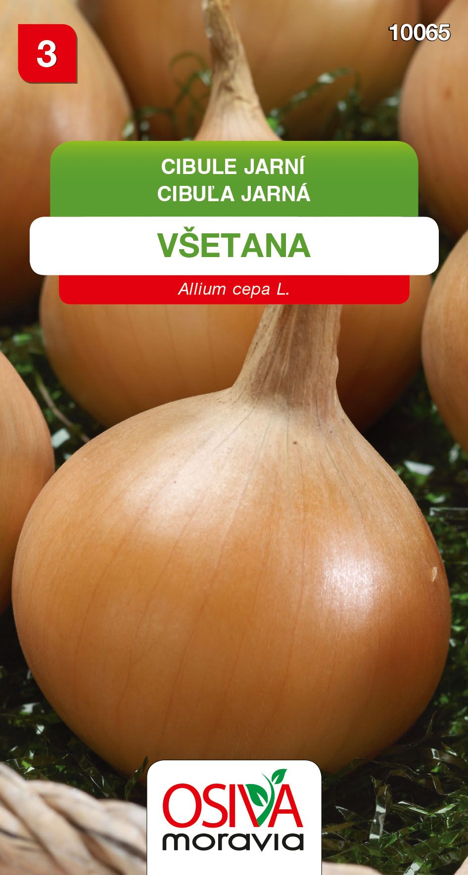 Cibule kuchyňská - Všetana