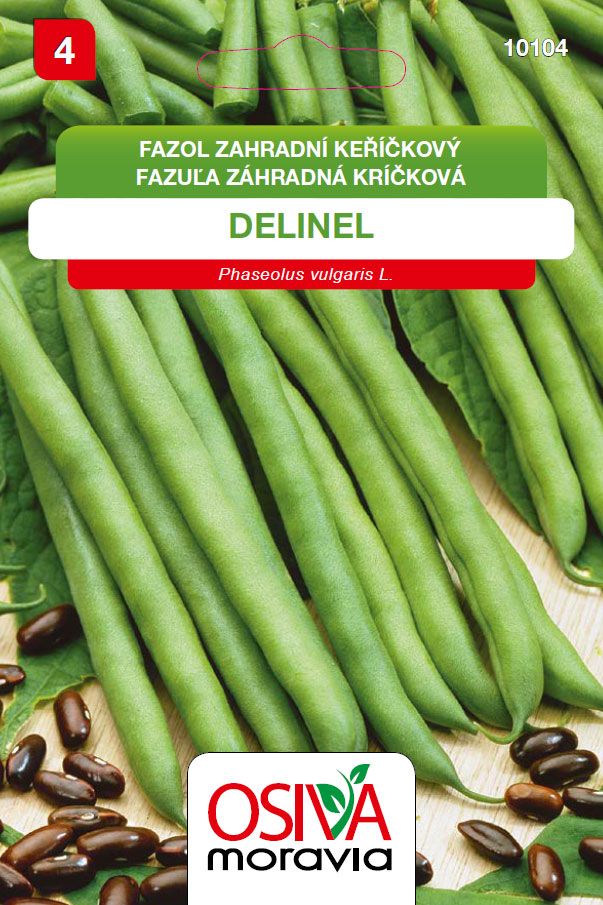Fazol keříčkový - Delinel