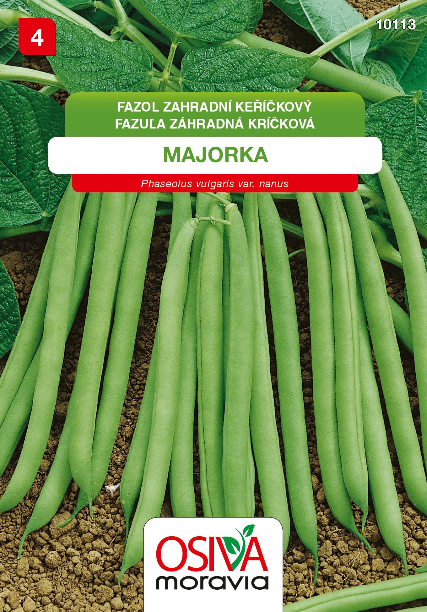 Fazol keříčkový - Majorka