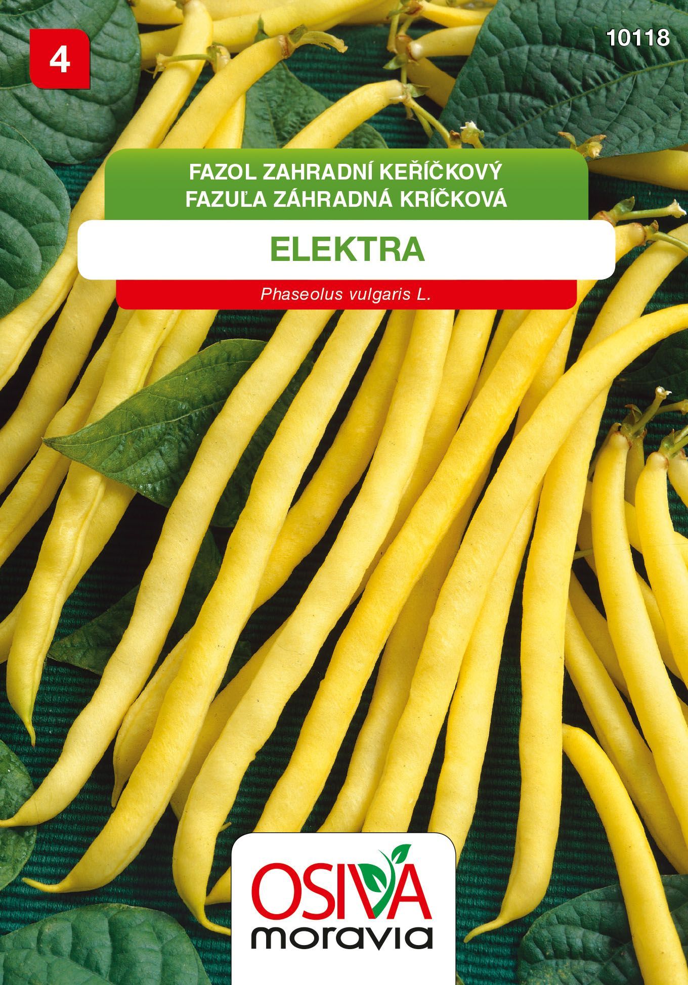 Fazol keříčkový - Elektra