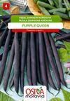 Fazol keříčkový - Purple Queen