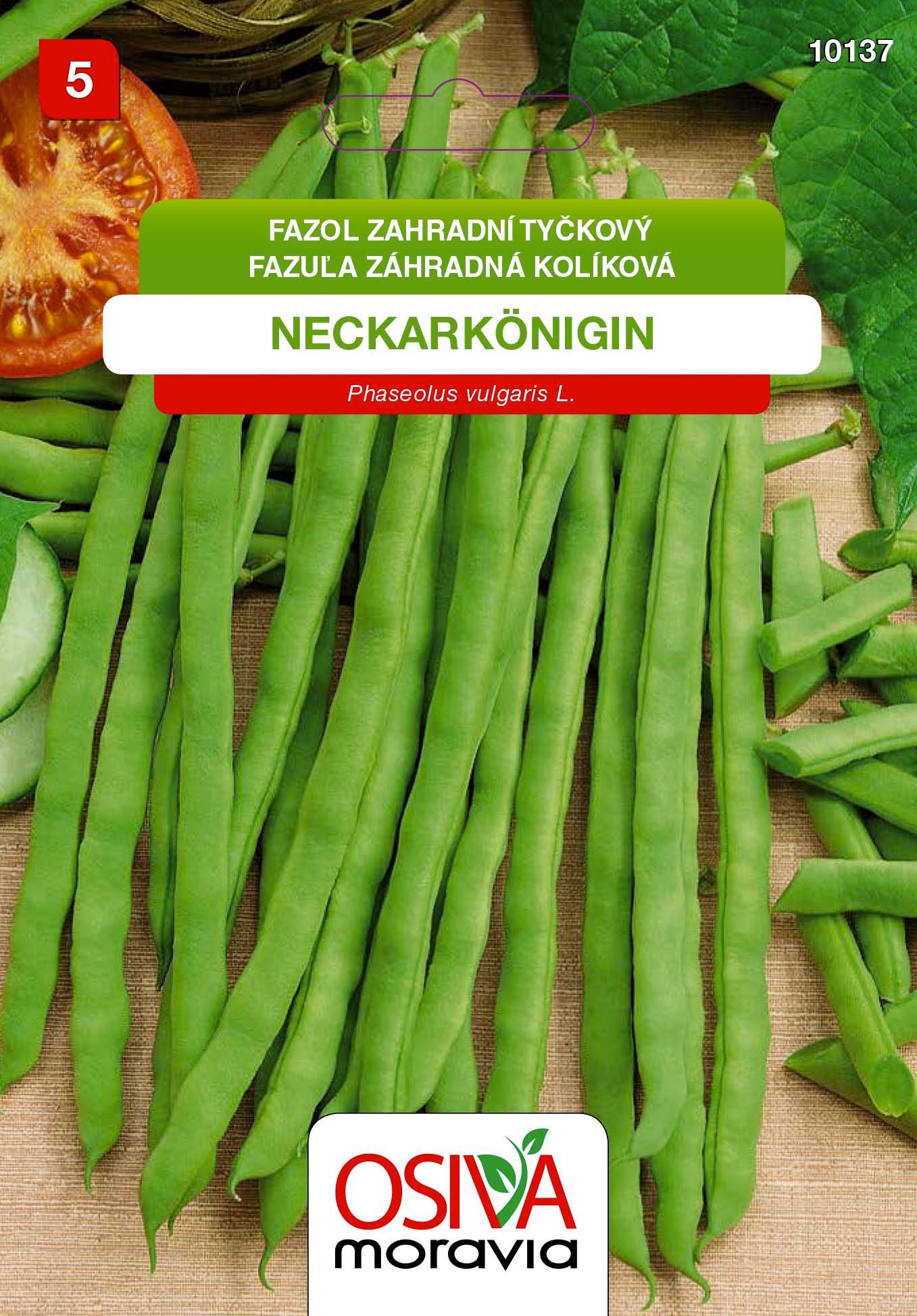 Fazol tyčkový - Neckarkonigin