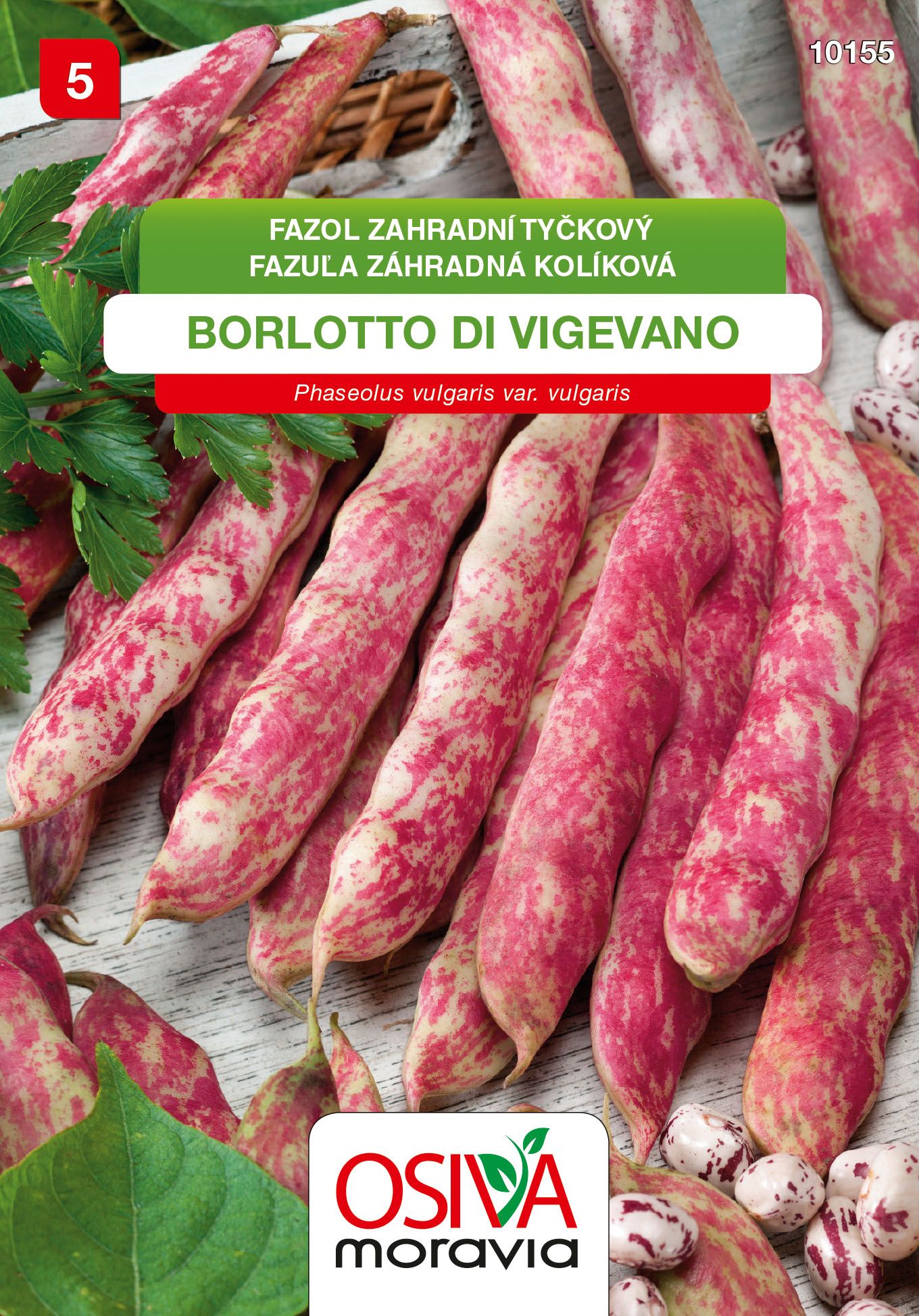 Fazol tyčkový - Borlotto di Vigevano