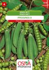 Hrách zahradní - Progres 9