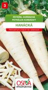 Petržel kořenová - Hanácká
