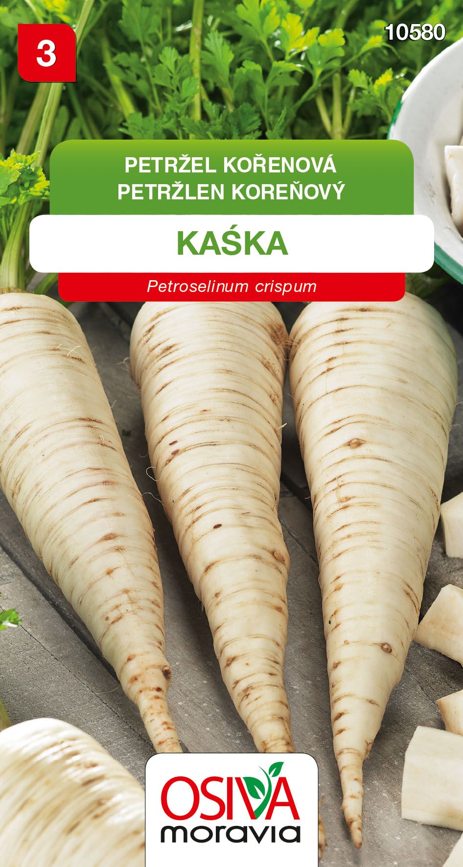 Petržel kořenová - Kaska
