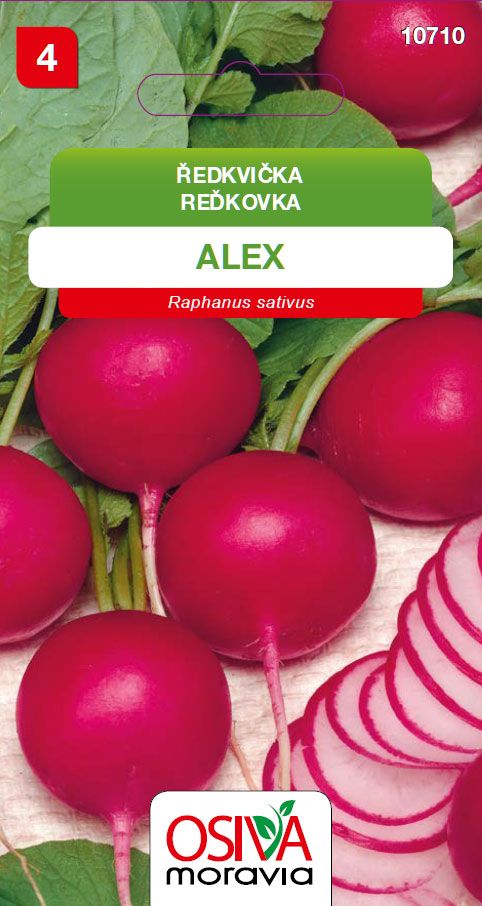 Ředkvička - Alex