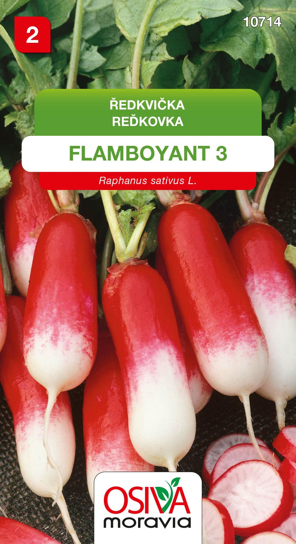 Ředkvička - Flamboyant 3