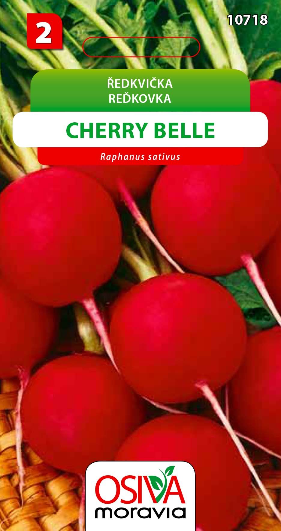 Ředkvička - Cherry Belle