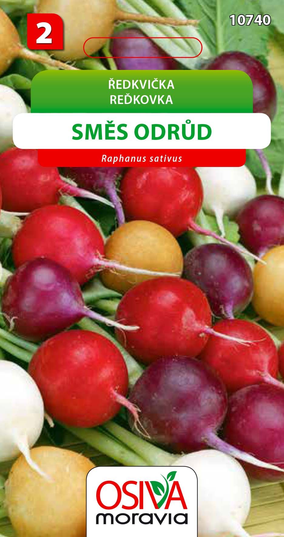 Ředkvička - směs odrůd