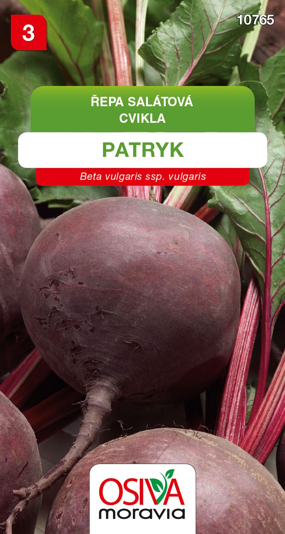 Řepa salátová - Patryk