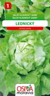 Salát hlávkový - Lednický