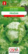 Salát hlávkový ledový - Pražan