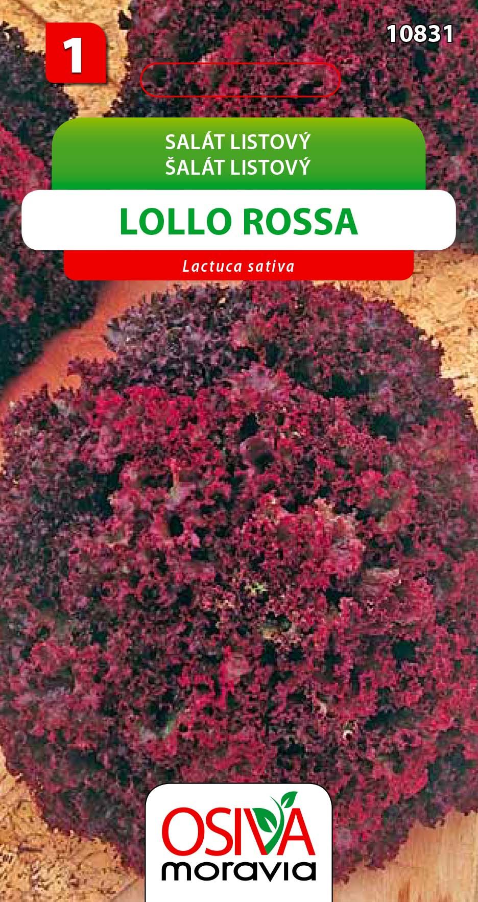 Salát listový - Lollo Rossa