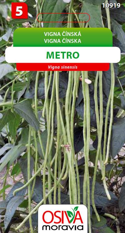 Vigna čínská - Metro