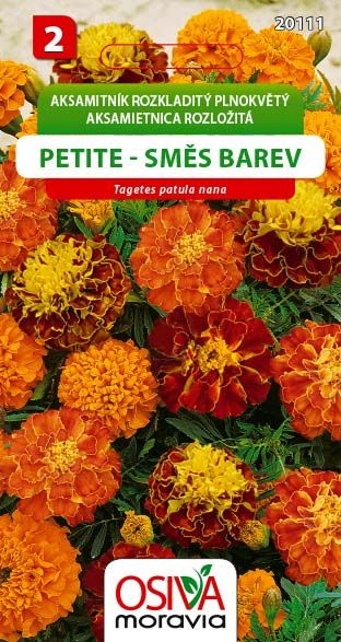 Aksamitník rozkladitý - Petite - směs barev