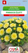 Astra čínská - Pinnocio Dwarf - žlutý