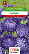 Astra čínská - pivoňkovité - modrá