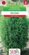 Cypřišek letní - zelený