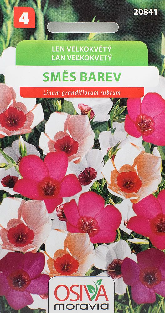 Len velkokvětý - směs barev
