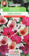 Len velkokvětý - směs barev