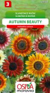 Slunečnice - Autumn Beauty