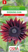 Slunečnice - Evening sun
