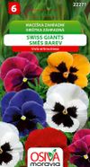 Maceška zahradní - Swiss Giants - směs barev