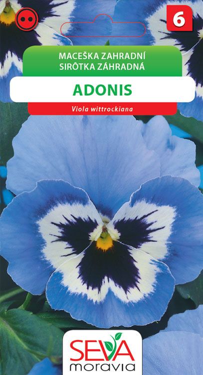 Maceška zahradní - Adonis