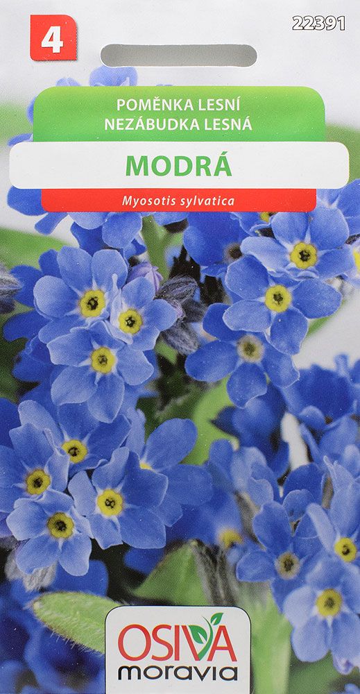 Poměnka lesní - modrá