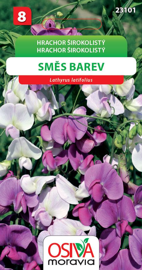 Hrachor širokolistý - směs barev