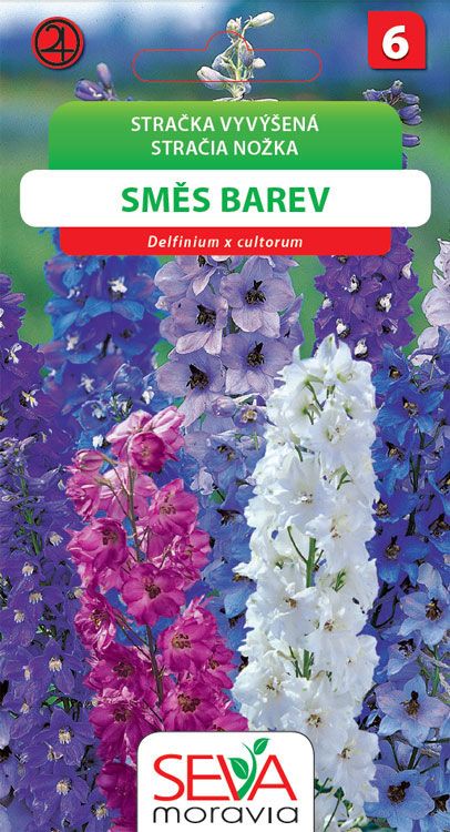 Stračka vyvýšená - směs barev