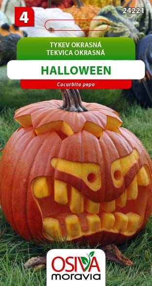 Tykev okrasná - Halooween