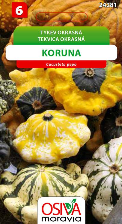 Tykev okrasná - Koruna