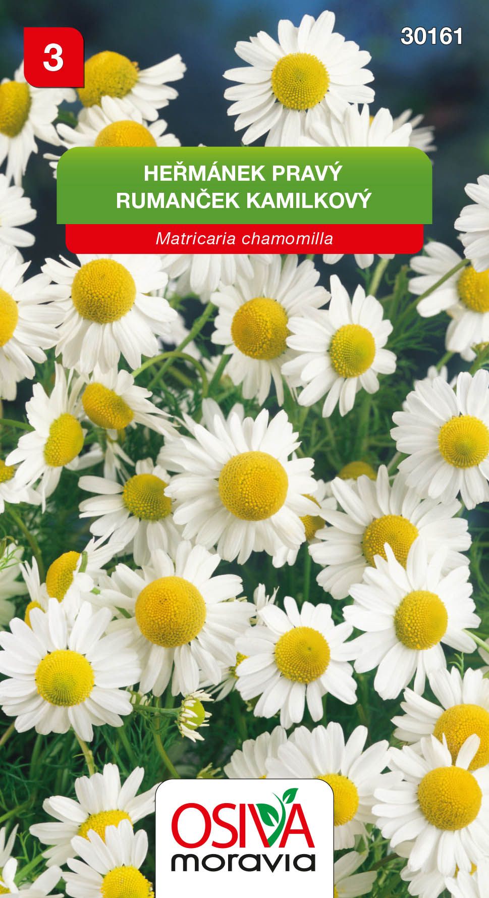 Heřmánek lékařský - Bohemia