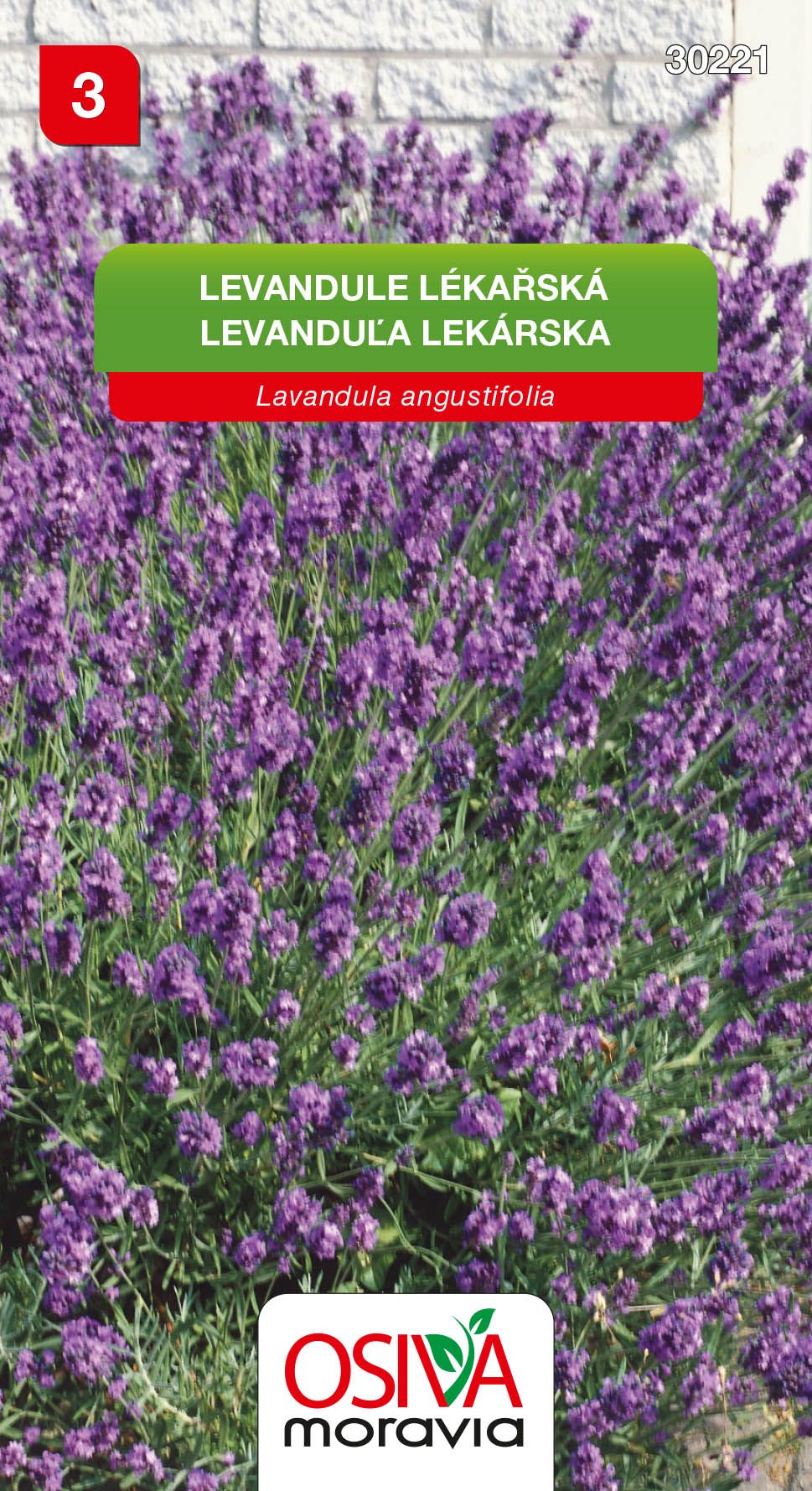 Levandule lékařská