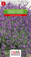 Levandule lékařská