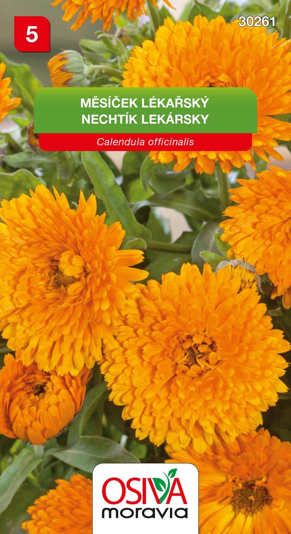 Měsíček lékařský