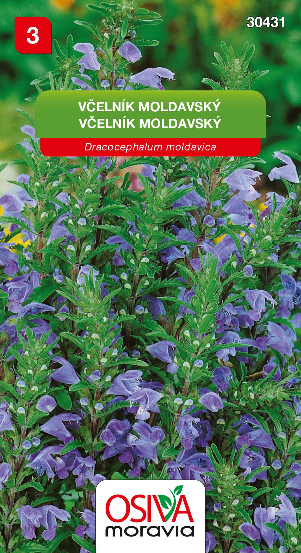 Včelník moldavský